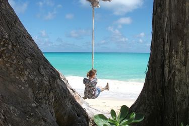 International School of Management