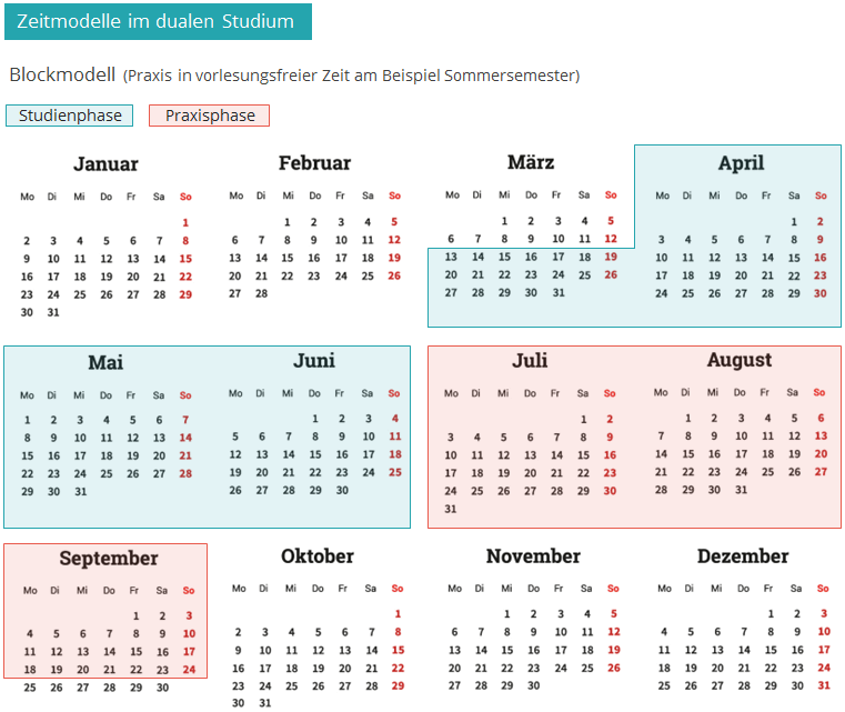 Infografik mit Zeitmodellen von dualem Studium