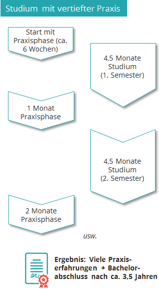 Schaubild über Studienverlauf vom Studium mit vertiefter Praxis