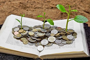 Auf einem aufgeklapptem Buch liegen Münzen. Aus den Münzen wachsen junge Pflanzen.