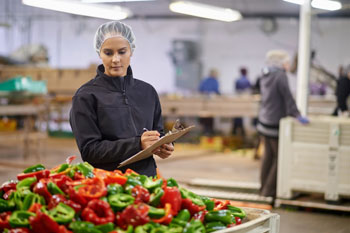 Qualitätsmanagement Lebensmitteltechnik